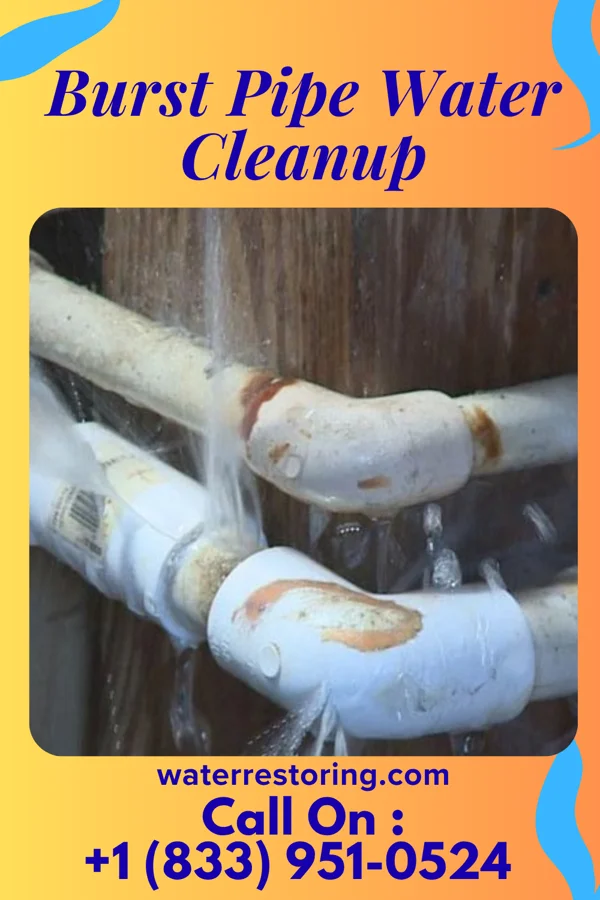 Burst Pipe Water Cleanup in Green Spring, KY