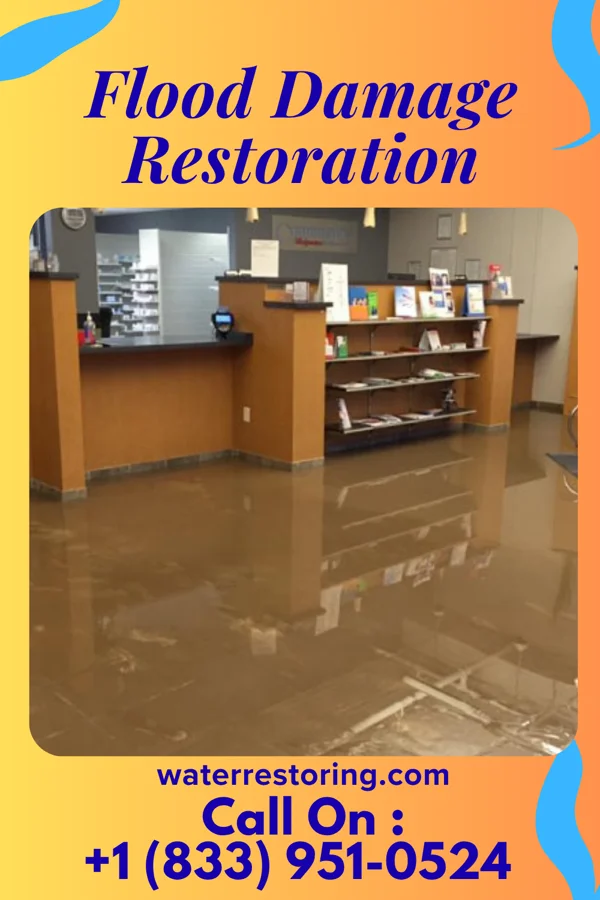 Flood Damage Restoration in Green Spring, KY