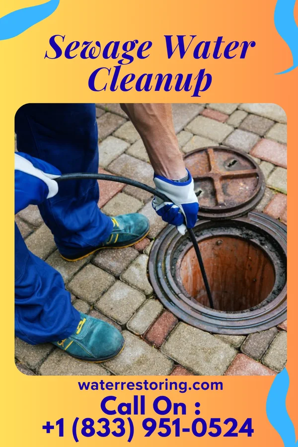 Sewage Water Cleanup in Green Spring, KY