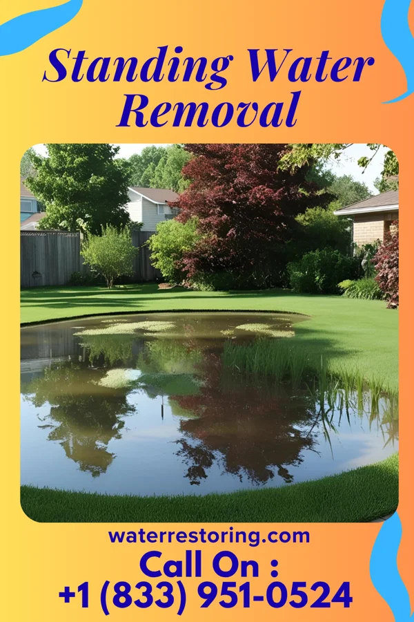 Standing Water Removal in Green Spring, KY